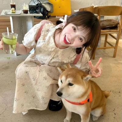 宠物还是食物:重返弗林特